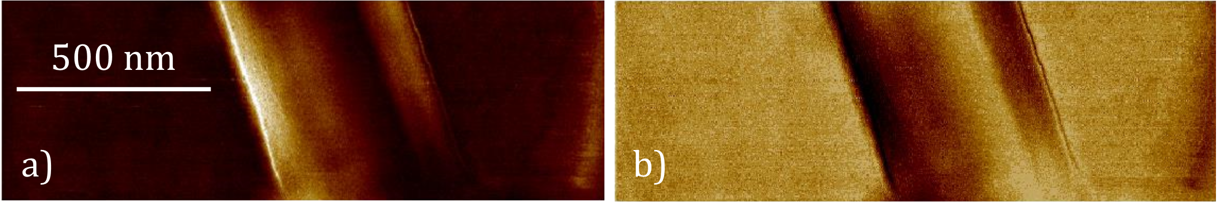 Figure 3: Piezo-Force microscopy a) amplitude and b) phase images of an individual PLLA nanowire 