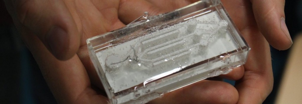 An agar 3D-printed microfluidic chip developed by Team Liquid during the Biohackathon (Credit: CUTEC)