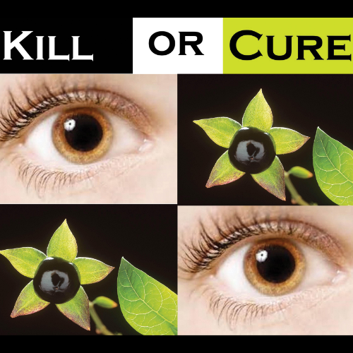 Open Cambridge 2022 - Kill or Cure