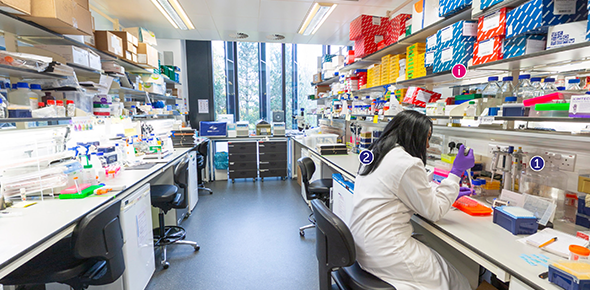 Screenshot of the CRUK Cambridge Institute virtual tours. Photograph of a molecular biology lab with a female scientist sat at a lab bench surrounded by scientific equipment. The image has numbers at information buttons at different points.