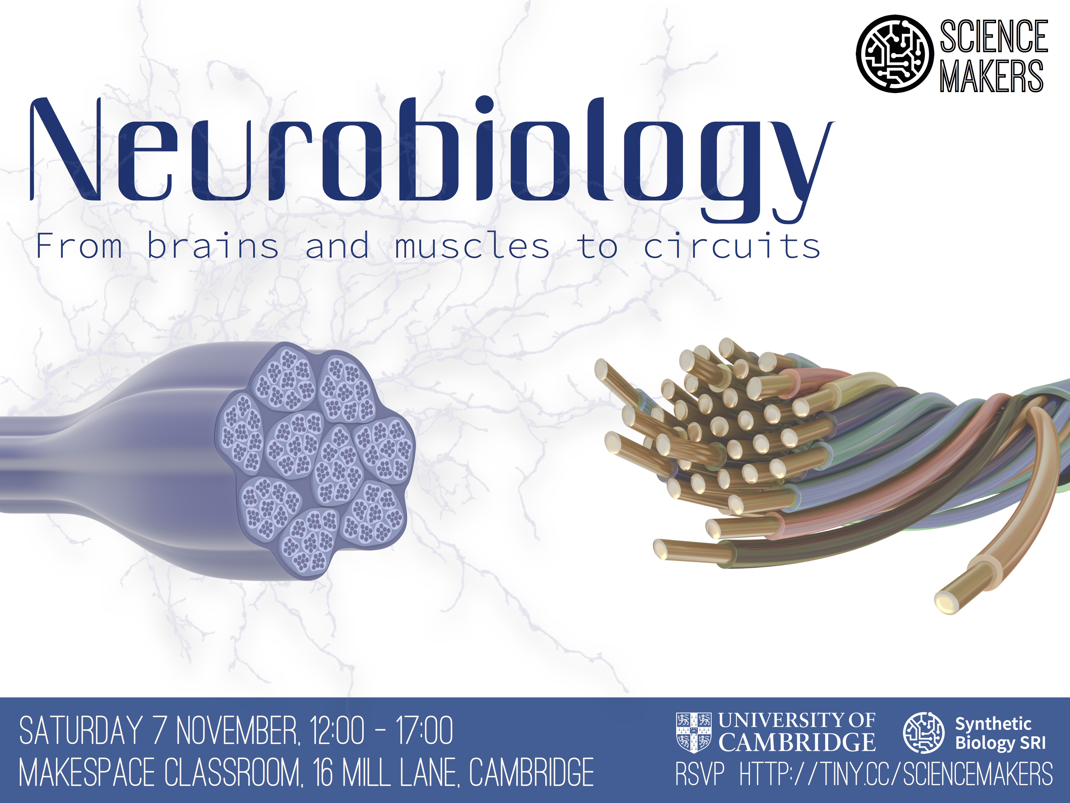 Science Makers Neurobiology Poster
