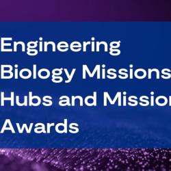 A purple background with a blue banner a white text reading “Engineering Biology Mission Hubs and Mission Awards”. The BBSRC logo is in the top left corner.