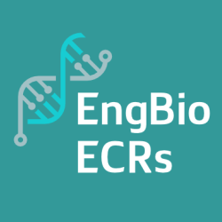 Teal background with EngBio ECR logo next to icons and text reading 'informal talks, networking, funding'