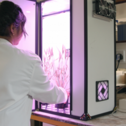 2017 Biomaker Team in Line for Early-career Innovator Award for Open Source Chamber for Speed-Breeding and Crop Transformation