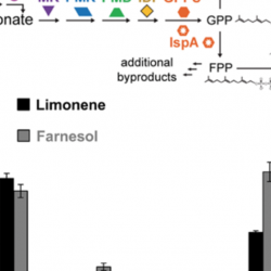 New paper out from Jewett lab on cell-free biosynthesis of limonene using enzyme-enriched Escherichia coli lysates