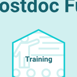 EngBio Postdoc Fund 2022 - five hexes on a light aqua background with the text: "Piloting application-driven research projects; Cross-sector relationship building; Training; Development of resources and tools; Public engagement"