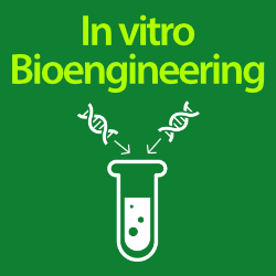 Read More at: In vitro Bioengineering