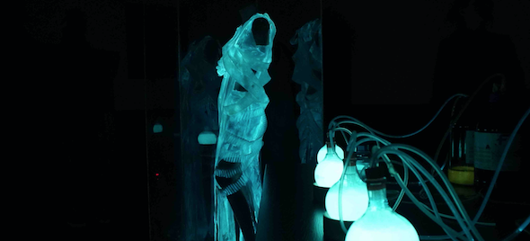 WIRED UK cover beautiful bioluminescent dress supported by SynBio Fund